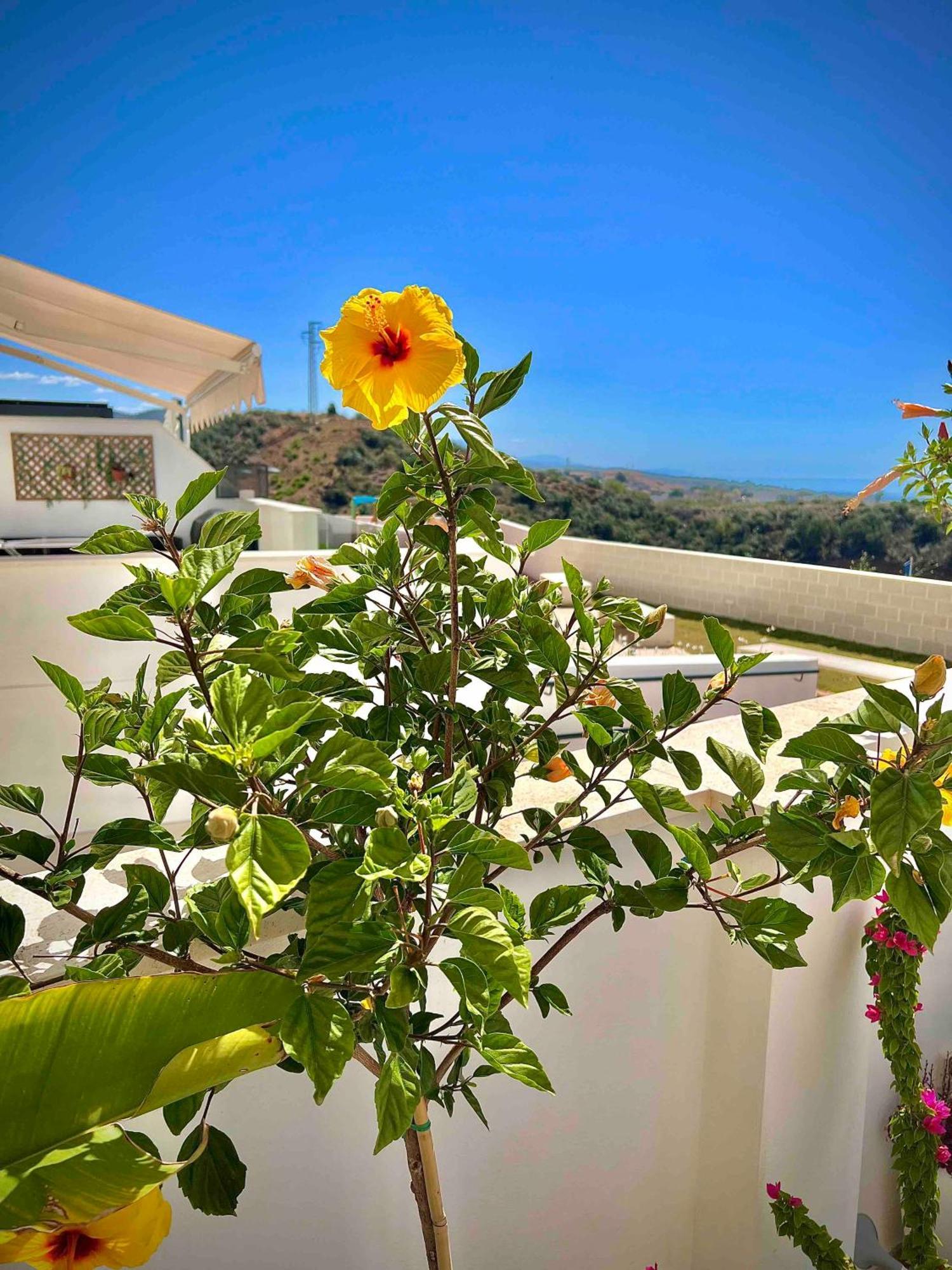 Apartment Rincon Idilia